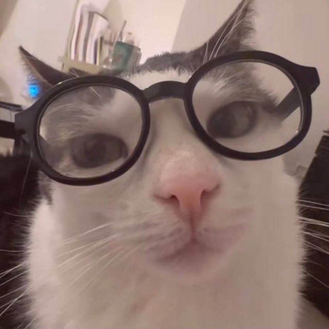.. Xd
